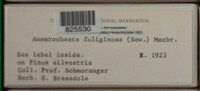 Image Associated With the Occurence
